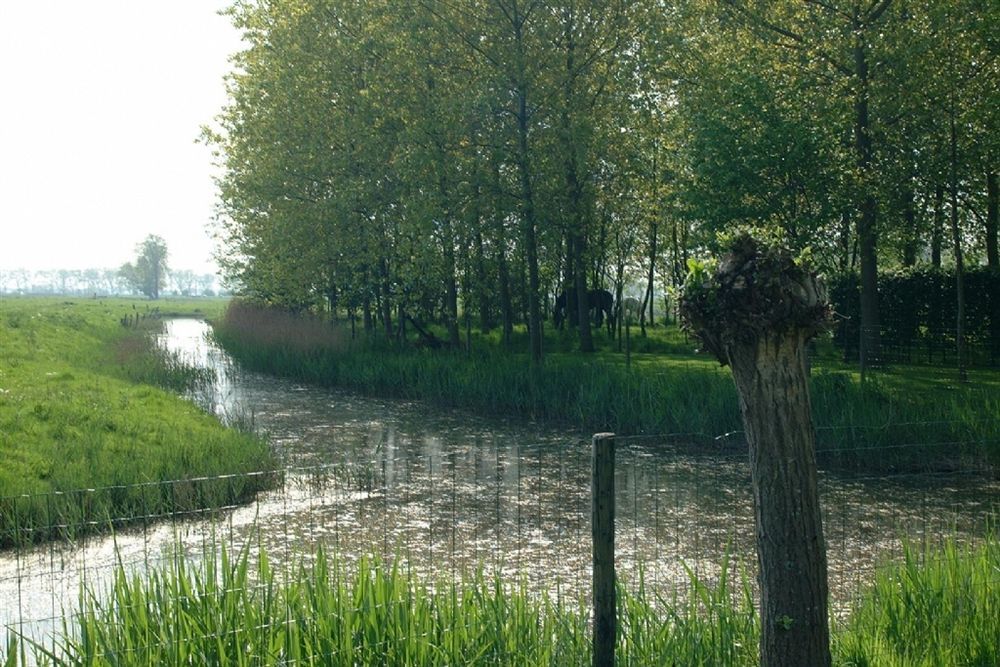 B&B Pronkenburg Brugge Eksteriør bilde